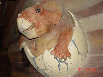 刚破壳的小恐龙,超可爱!