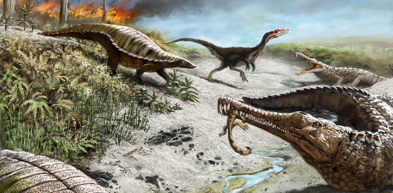 原创存在了46亿年的地球,历经了哪五次生物大灭绝?