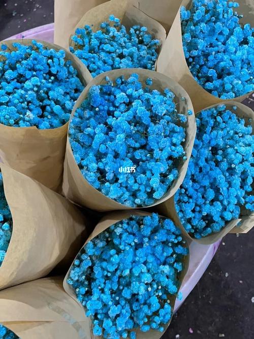 满天星_满天星_花语_家居家装_家居装饰