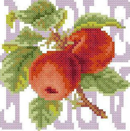 6款水果十字绣 田园风格装饰玄关