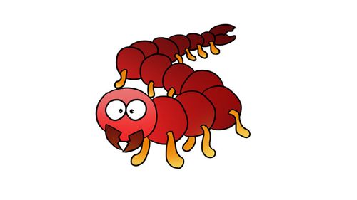 第五步:按照下图用彩色的画笔为蜈蚣涂颜色吧