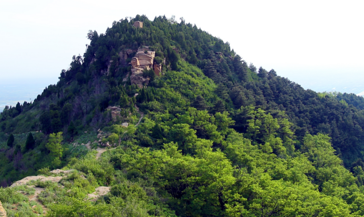 合阳武帝山国家森林公园正式获批