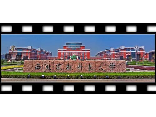 中国著名大学风景高清图西北农林科技大学ppt22页