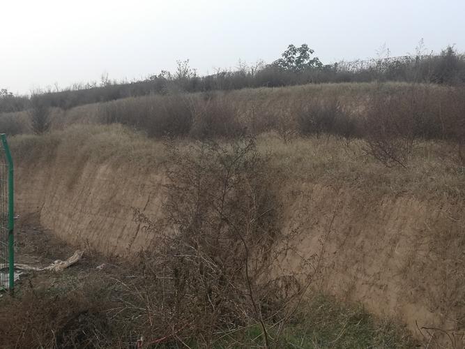 府城遗址,位于焦作市西南的府城村,东西走向长约280米,面积近10万平方