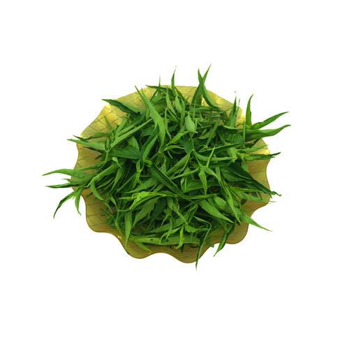 包邮500g 优盾优顿草鳄嘴花茶 海南五指山黎王草忧遁草小尖叶鲜叶