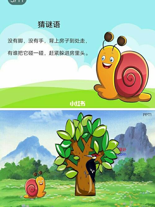 幼儿园|中班语言公开课|《小蜗牛的本领》_幼儿园_蜗牛_教育_学前教育