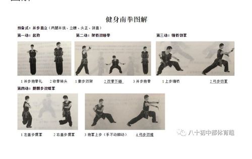 《体育与健康 》 八年级健身南拳基本手型,步法 (一)