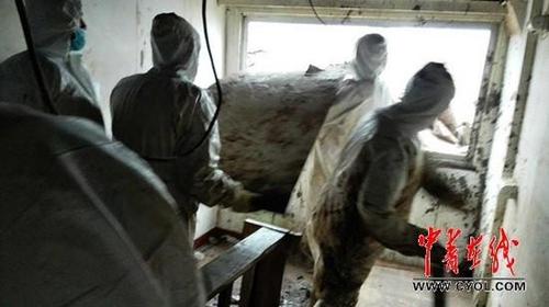 "东方之星"遗体搜救基本结束 遗物清理仍继续