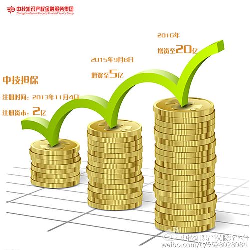 中技担保增资至20亿元