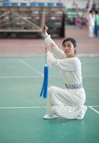 肥西木兰拳----合肥市第十一届全. (共 28 p)