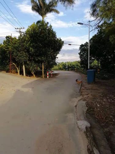 廉江市塘蓬镇第一美丽卫生乡村