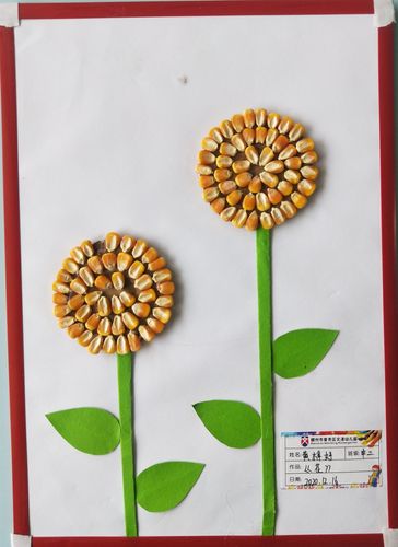 "童眼中的种子世界"亲子创意种子粘贴画投票活动开始了!