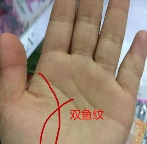 羡慕今年这几类手相的人要行大运从头行到脚趾尾果种