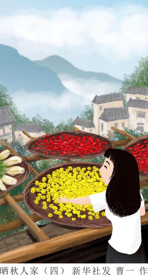 (图表·漫画)「二十四节气·立秋」晒秋人家(四)