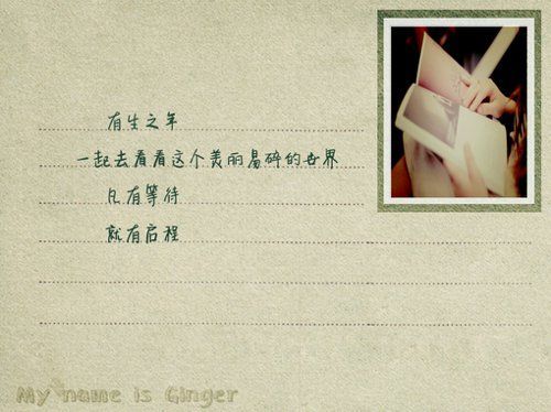 大爱文字控