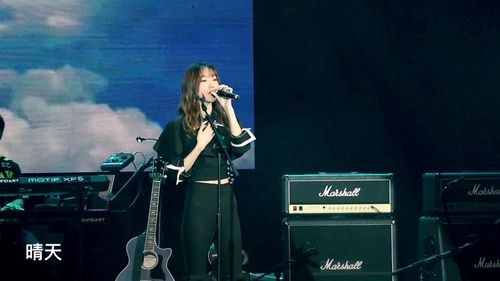 刘瑞琦【温暖的房间】演唱会-重庆站