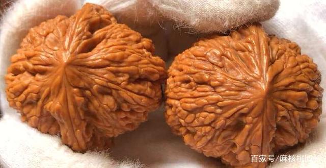 多图|绣球狮子头文玩核桃特点全介绍,知道它最美部分是哪吗?