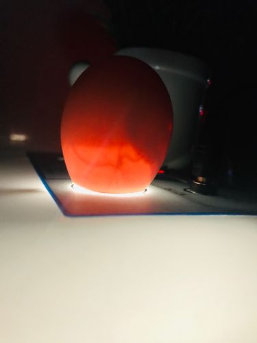 其它 小鸡孵化过程 写美篇 第七天照蛋图 21天整,小鸡破壳而出啦