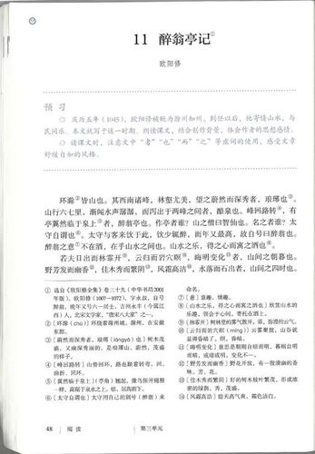 11 醉翁亭记-九年级语文上册(部编版)
