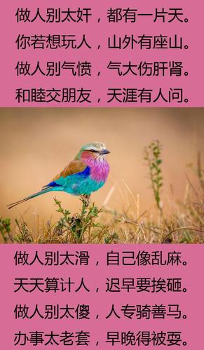 做人要地道,好人有好报.