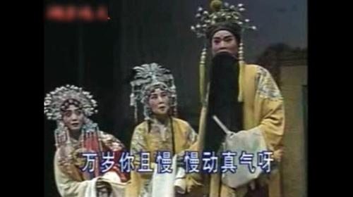 打金枝豫剧刘忠河全场视频在线观看 - 西瓜视频