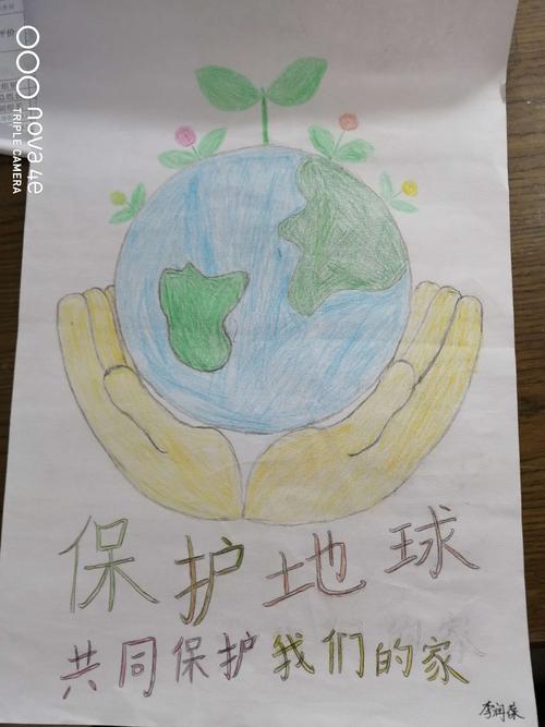 六(2)班"珍惜资源,保护地球"手抄报,宣传画展示