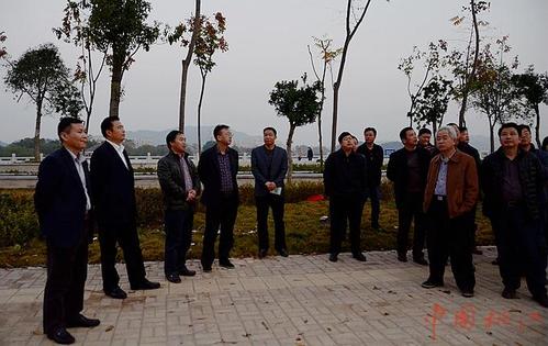 南县党政领导来桃江考察