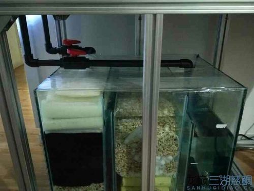 我也试着做了一个虹吸底滤,给大家报告一下