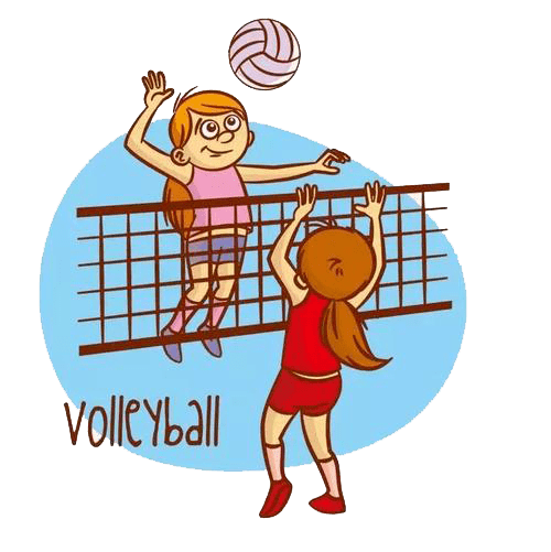 2020年"丰采杯"全民健身气排球比赛成功举办_手机搜狐