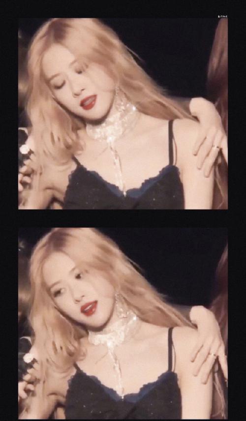 野玫瑰开在了我的心里rose朴彩英