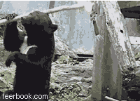 练习棍法的黑熊表情包_练习棍法的黑熊表情包图片_包