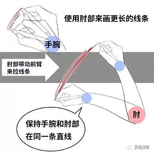灵猫课堂丨绘画时,如何正确用力画出流畅的线条?