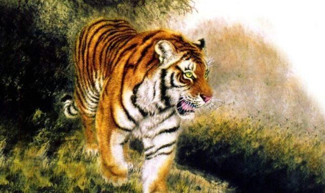 属虎的一生命运怎么样1974年属虎的命运如何