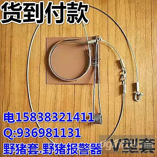 野猪横式弹簧套野猪钢丝绳套钢丝绳套野猪锁脚套地套夹子报警器野猪
