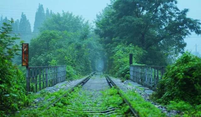 桥头集爱情隧道  说起"爱情隧道"最出名的当属乌克兰爱情