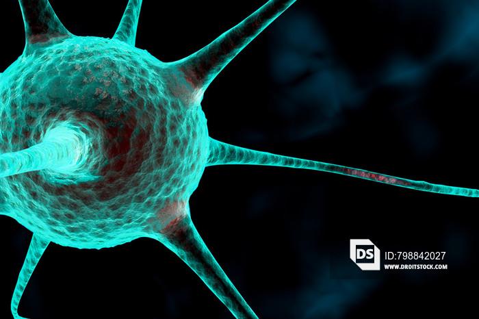 3d nerve cell