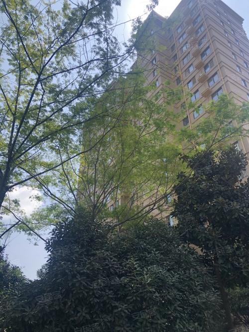 宇信凯旋城(新野)