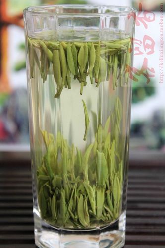 2018年新茶上市 汉中仙毫 西乡午子仙毫 精选独芽 雀舌类绿茶50g