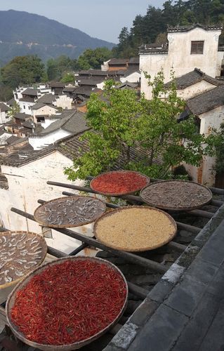 宏村画乡,婺源晒秋.