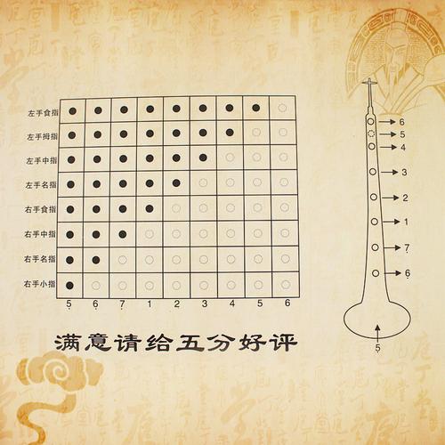 专业黑檀乌木唢呐d调红木d调唢呐成人初学者唢呐乐器全套