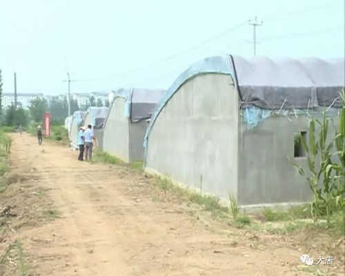 北部战区陆军副政委薛凝冰到大店镇检查督导扶贫工作