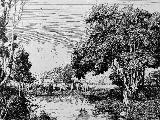 灵性山水 感悟自然, 一杨再平钢笔风景画欣赏