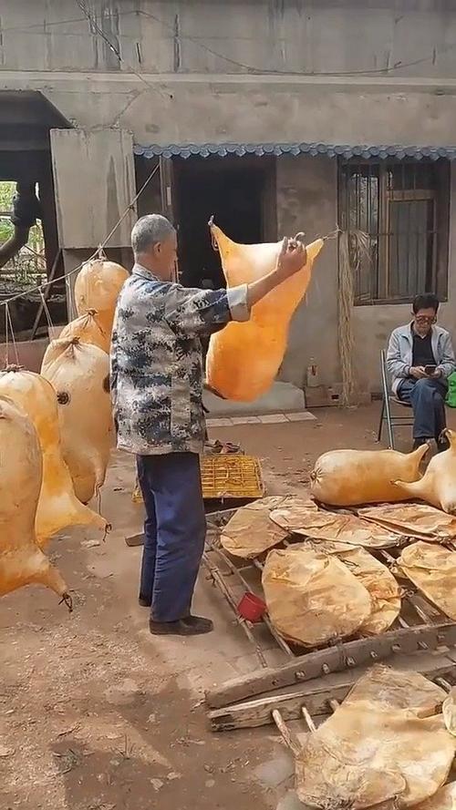 猪皮筏知道是干什么用的吗