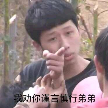 我劝你谨言慎行弟弟王境泽指人表情包指人王境谨言慎行弟弟表情