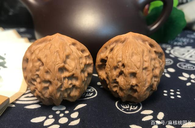 多图|凤凰岭狮子头的特点有哪些?它其实也叫凤凰山狮子头!