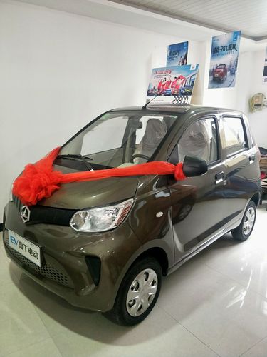 雷丁d30,白棕两款颜色,油电两用,3kw电机,5块电瓶,中控收音机,倒车