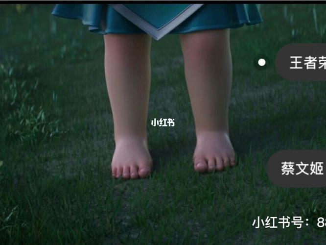 像蔡文姬的脚吗_蔡文姬_王者荣耀_游戏_手机游戏