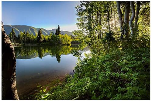 犹他自然摄影自然艺术印刷品犹他州巴尔逊湖畔的查样亚斯树照片无框