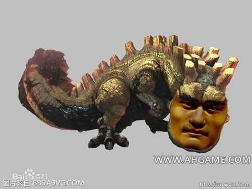 骨锤龙跟姚明什么关系?