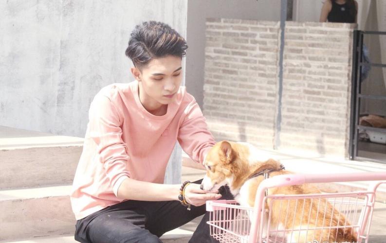 秦霄贤 - 堆糖,美图壁纸兴趣社区